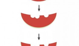 吃瓜ppt制作教程免费,吃瓜PPT制作教程全解析
